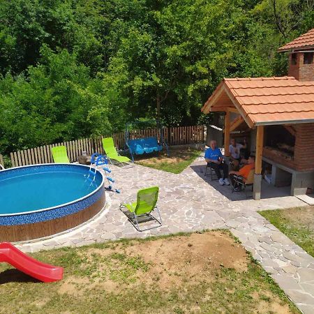 Vila Zubor Crni Vrh Ngoại thất bức ảnh